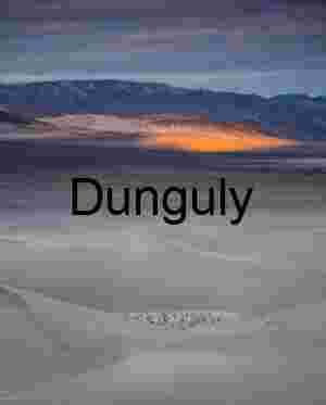 Illuminated Divide: Dunes, Shadows, and a Golden Ridge