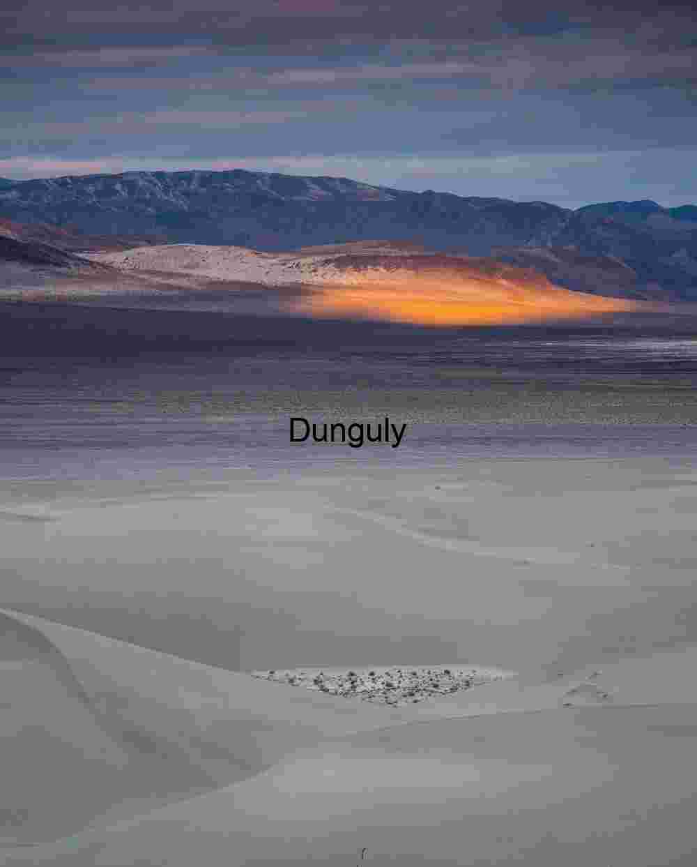 Illuminated Divide: Dunes, Shadows, and a Golden Ridge