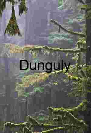 Misty Moss Forest Photography – Atmospheric Rainforest Landscapes & Editorial Nature Images