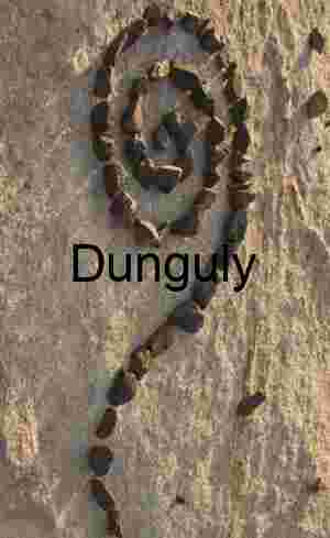 Spiral Drift: Stone Geometry on Desert Canvas