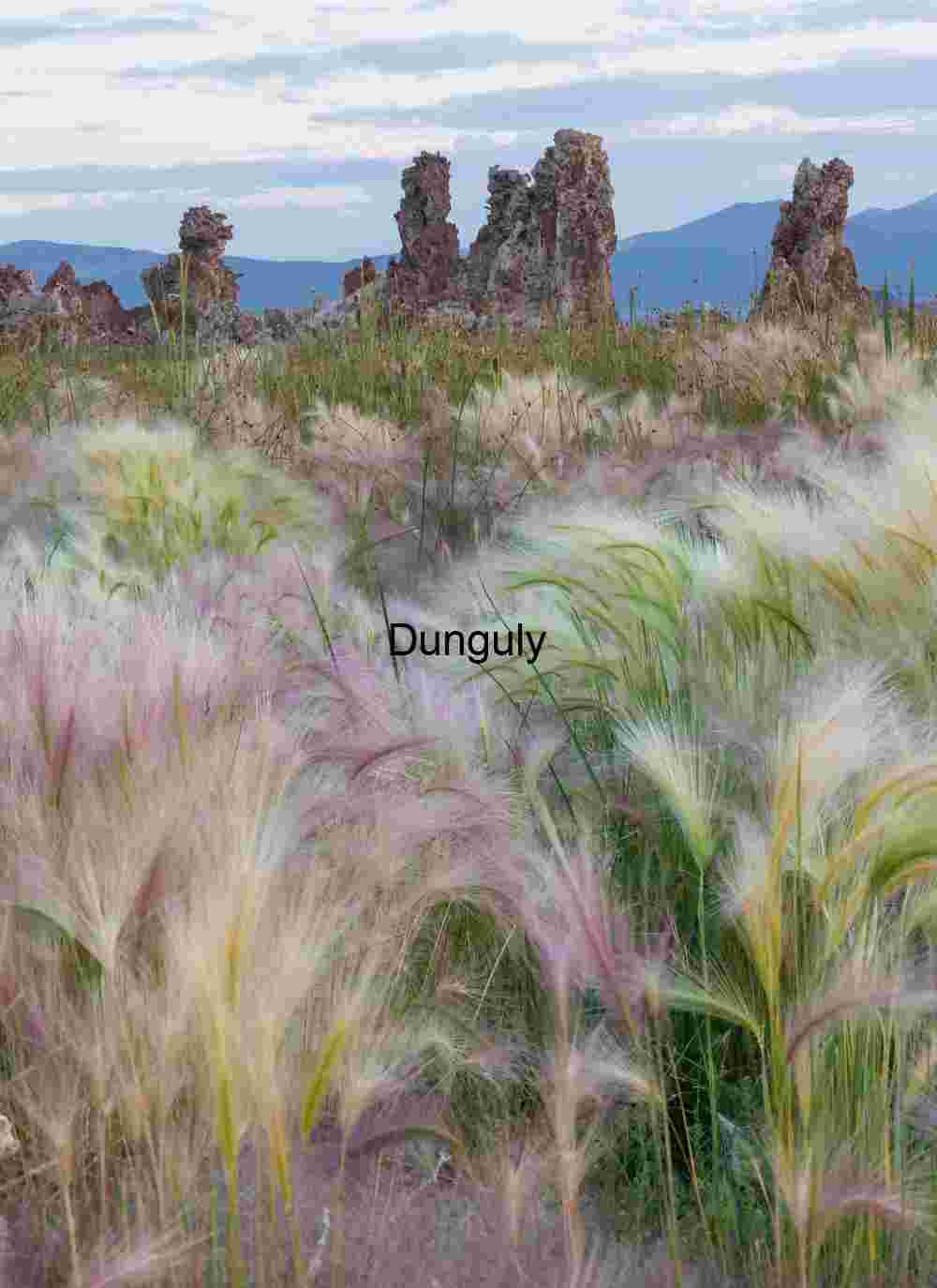Whispers of Wind and Stone: Tufa Towers Beneath a Mountain Sky