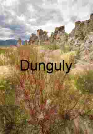 Stone Sentinels and Desert Whispers: Mono Lake’s Sculpted Silence