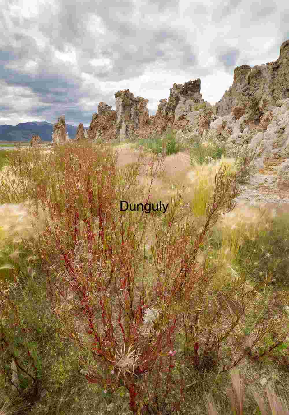 Stone Sentinels and Desert Whispers: Mono Lake’s Sculpted Silence