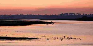 Twilight Gathering: Heron and Birds by the Sunset Riverbank