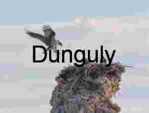 Return to the Nest: Osprey in Flight Over Rocky Heights