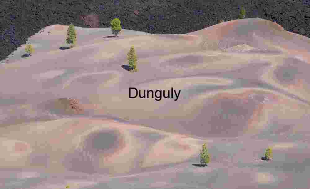 Chromatic Ash: Trees Rising from Painted Volcanic Earth