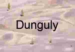 Muted Currents: Volcanic Mounds Beneath Scattered Pines