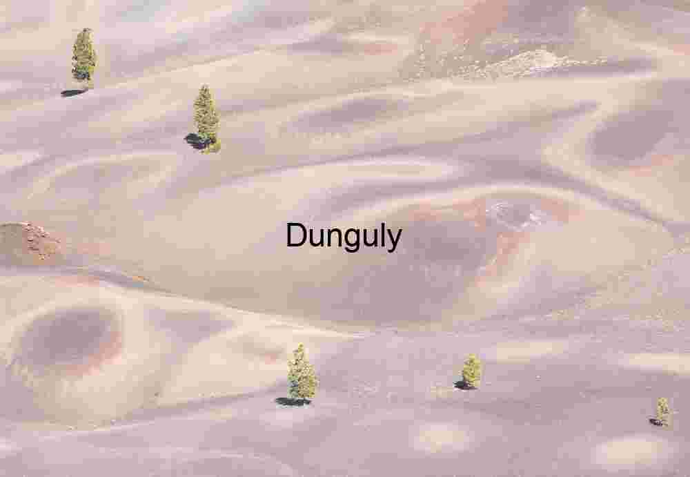 Muted Currents: Volcanic Mounds Beneath Scattered Pines