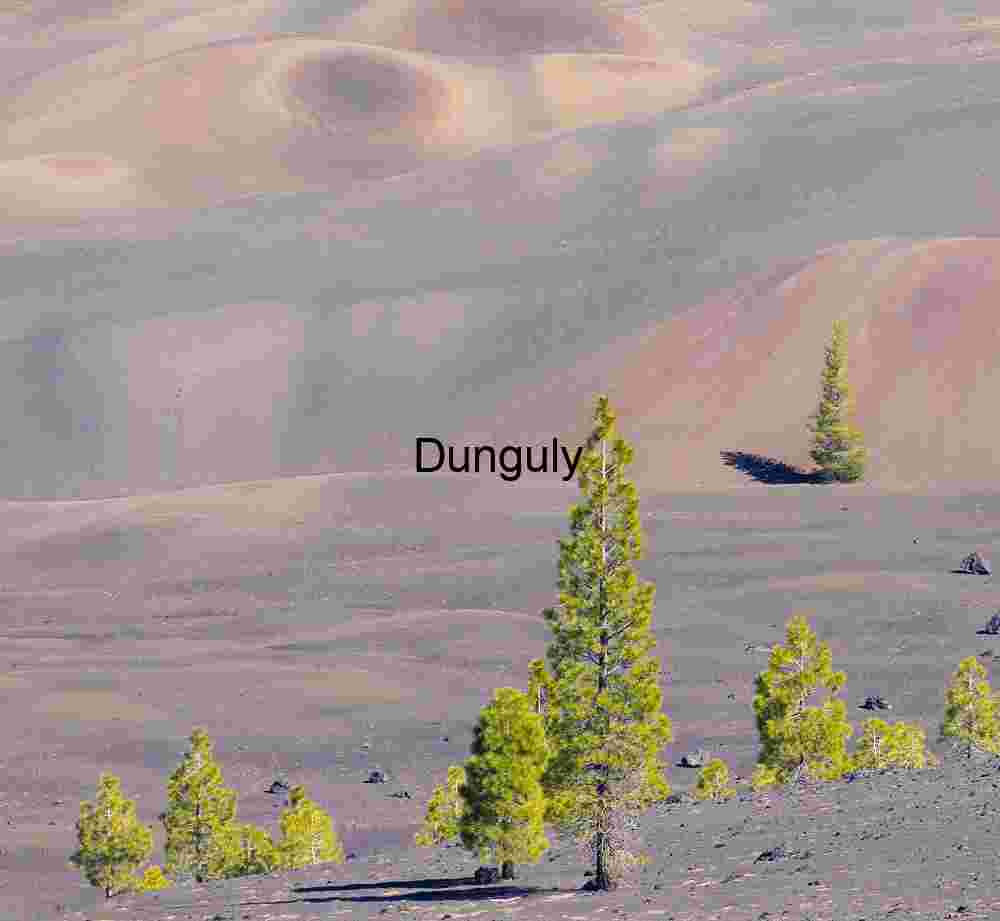 Ash and Pines: Volcanic Undulations in Mineral Silence