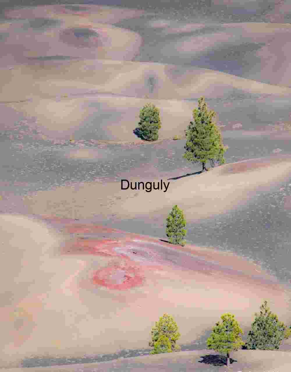 Echoes in Ash: Conifers Across Chromatic Volcanic Waves