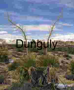 Desert Bloom: Yucca Rising Against Snow-Capped Peaks