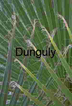 Filament Grace: Desert Leaves with Curling Threads