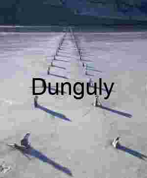 Wooden Posts Across Cracked Salt Flat with Distant Mountains