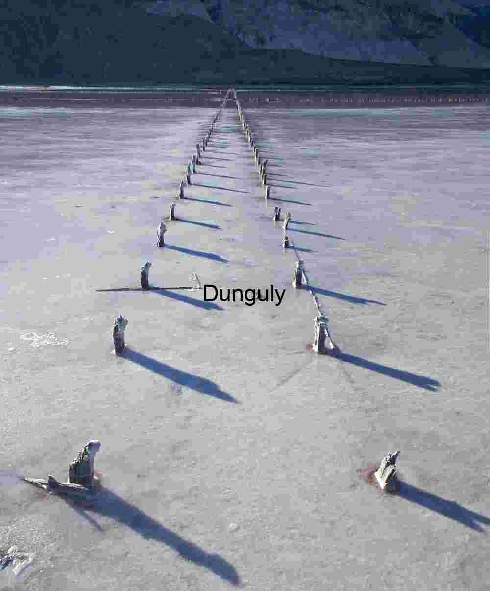 Wooden Posts Across Cracked Salt Flat with Distant Mountains