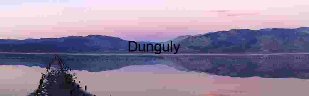 Serene Waters with Wooden Pier Remnants