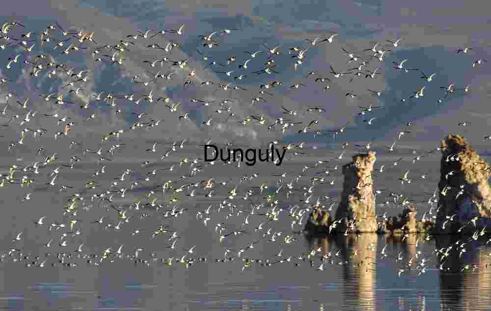 Flock of Birds Over Tufa Formations at Mono Lake