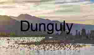 Flock of Birds Over Tufa Formations at Mono Lake - 2