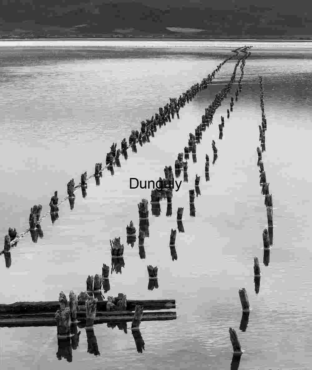 Vanishing Pier Pilings in Calm Water – Black and White Minimalist Seascape