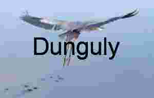 Grace in Stillness – Great Blue Heron in Reflective Waters