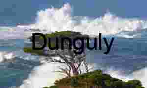 Windswept Coastal Tree Standing Against Ocean Fury