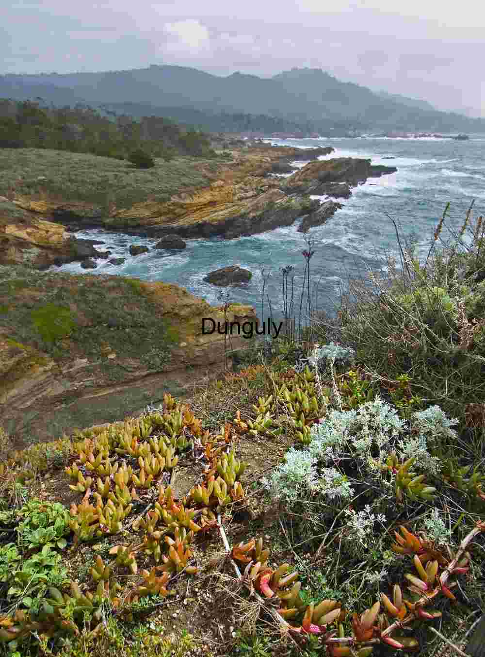 Rugged Rocky Cliffs Showcasing Coastal Erosion and Geological Texture