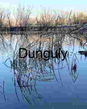 Reflections of Bare Branches on Still Water