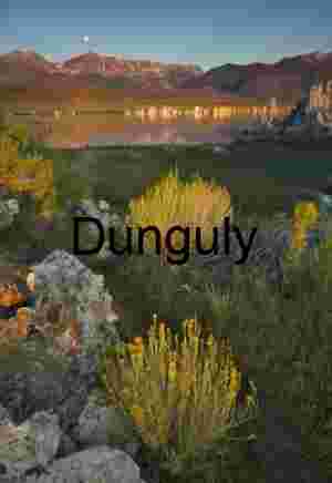 Tufa Towers, Desert Flora, and Moon Over Mono Lake