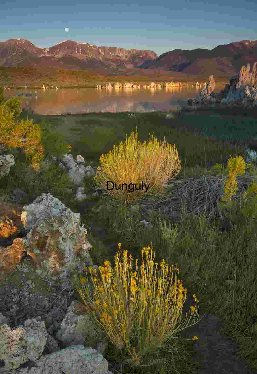 Tufa Towers, Desert Flora, and Moon Over Mono Lake