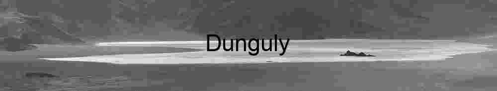 Aerial view of a dried lake bed etched with circular tire tracks, evoking human exploration in a barren desert