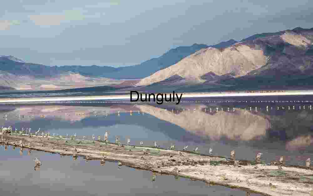 Symmetry of Weathered Wooden Posts Extending into Horizon