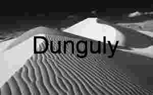 Whispers of Wind: Sculpted Silence in the Dunes