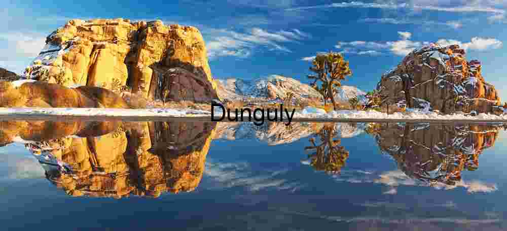 Winter Reflections – Snow-Dusted Rocks and Joshua Trees in Desert Stillness
