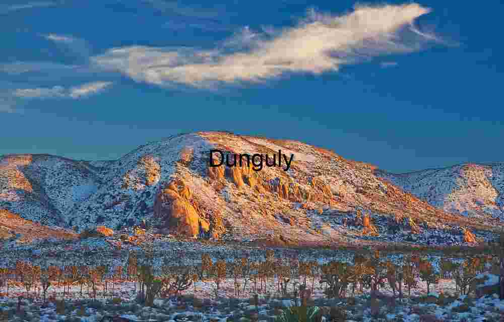 Snow in the Mojave – Joshua Trees Beneath Sunlit Peaks