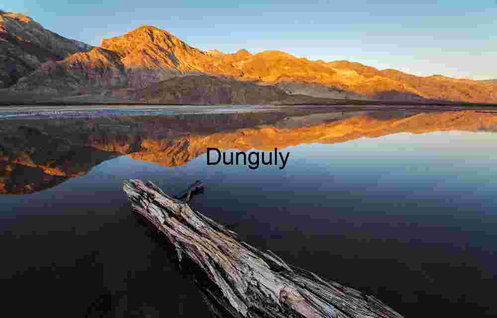 Symbol of Isolation and Resilience in Harsh Desert Terrain