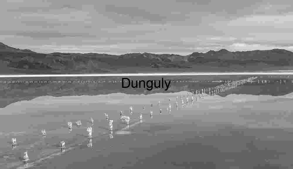 Abstract Perspective of Old Dock Remnants in Monochrome