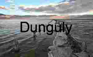 Salt Lake Decay: Weathered Wooden Posts in Shallow Water