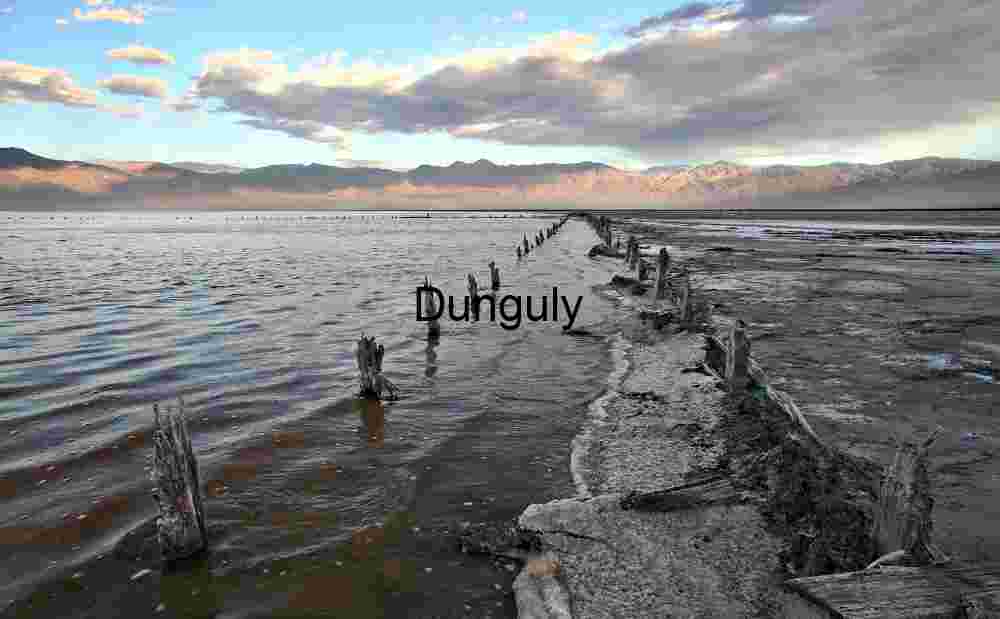 Salt Lake Decay: Weathered Wooden Posts in Shallow Water