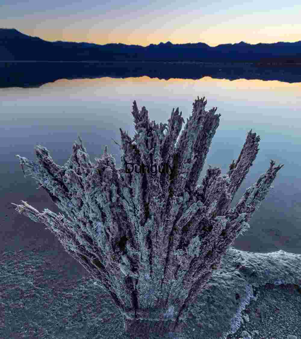 Salt-Encrusted Desert Formation Reflecting at Sunrise