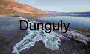 Desolate Salt Flat Landscape with Submerged Wooden Remains