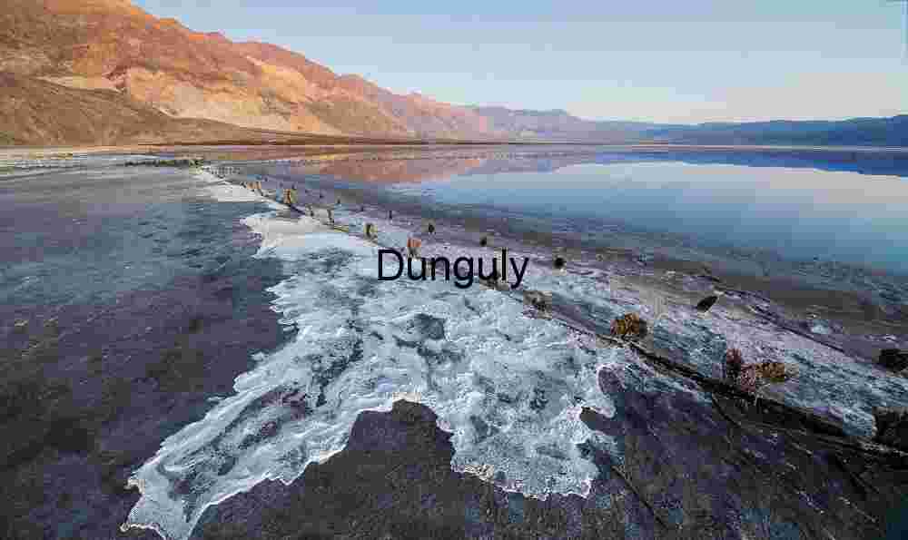 Desolate Salt Flat Landscape with Submerged Wooden Remains
