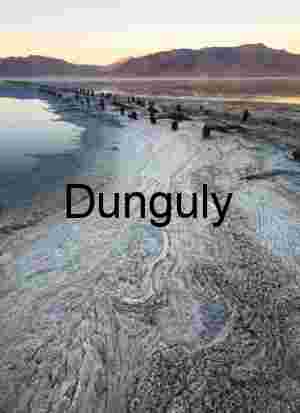 Desolate Salt Flat Landscape with Submerged Wooden Remains