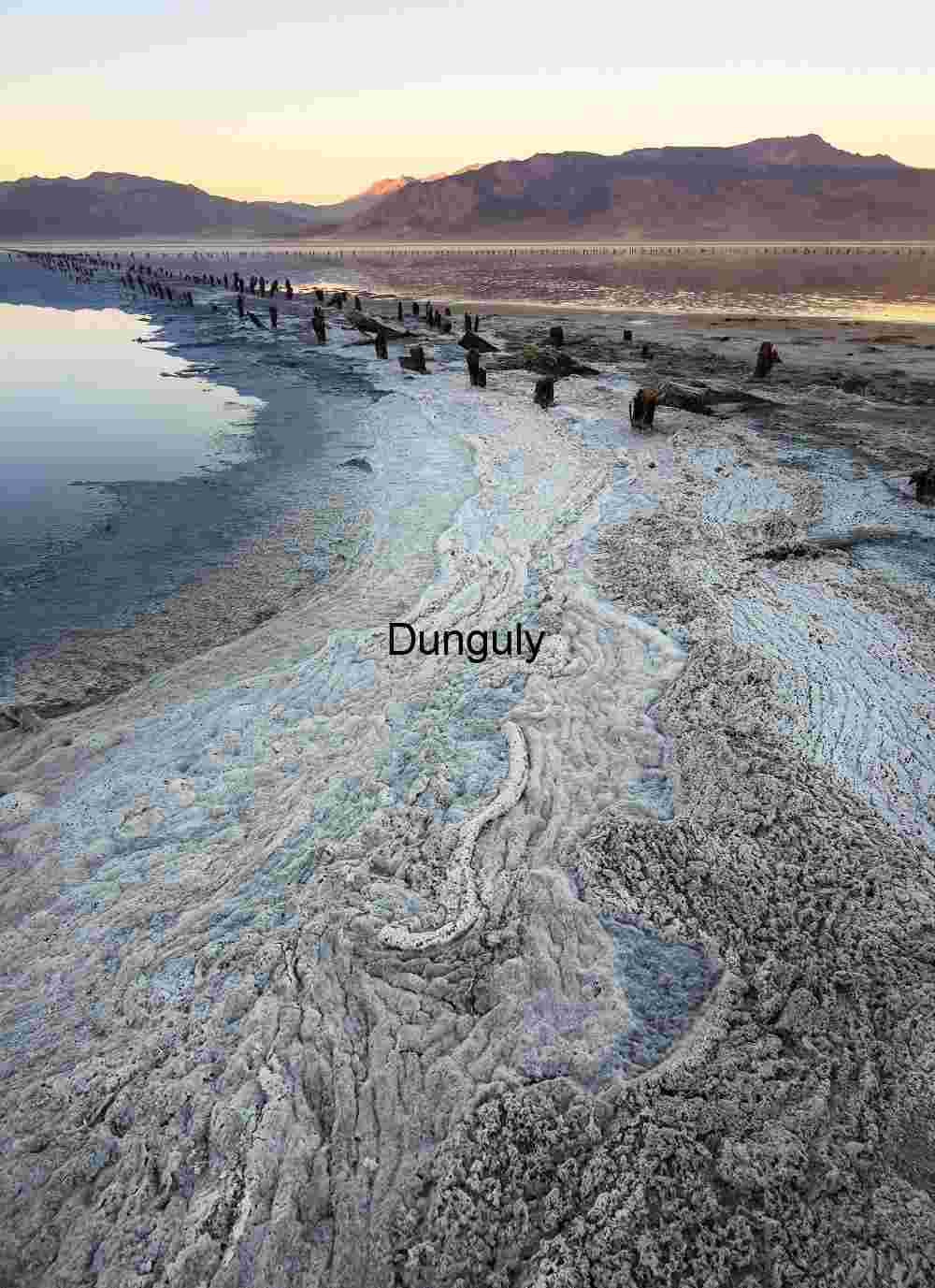 Desolate Salt Flat Landscape with Submerged Wooden Remains