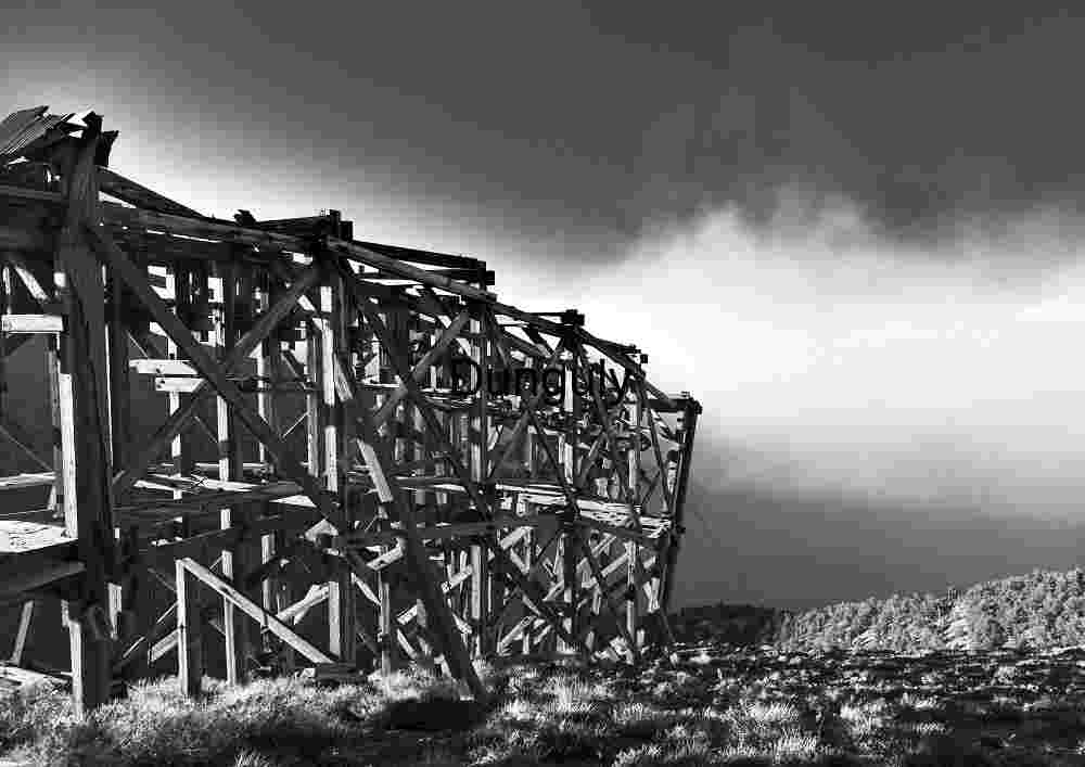 Weathered Wooden Framework in Open Landscape – Industrial Ruin Meets Nature