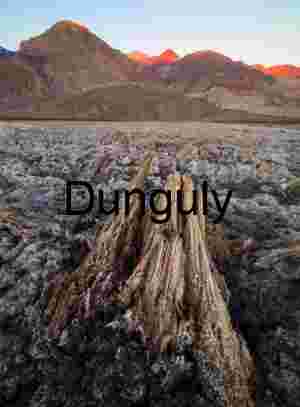 Salt Crust and Jagged Mineral Formation in Remote Desert Landscape