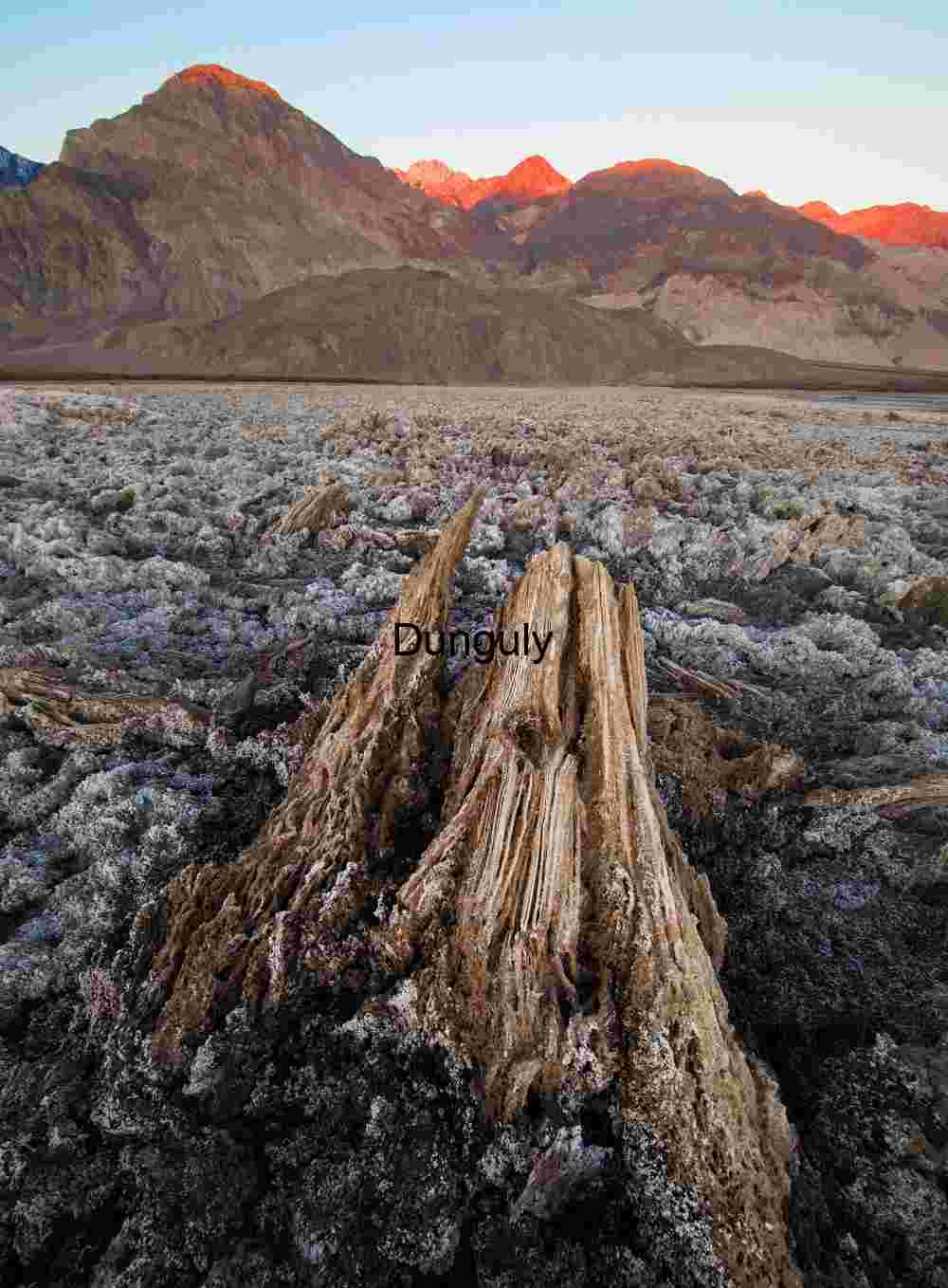 Salt Crust and Jagged Mineral Formation in Remote Desert Landscape