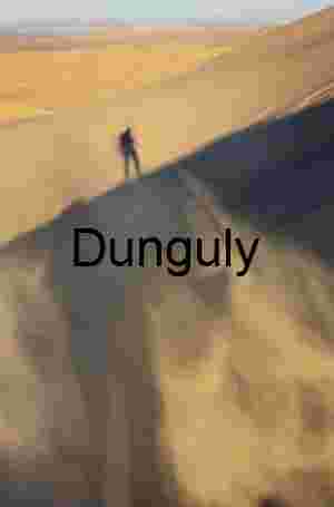 Shadow on Shifting Desert Dune at Golden Hour