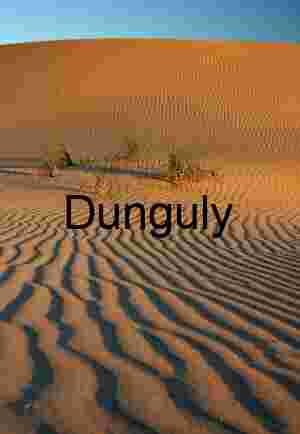 Rooted in Silence: Wind-Rippled Dunes and Desert Grass