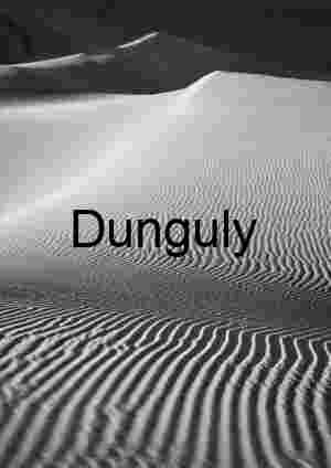 Geometry of Silence: Windlines Across the Dune