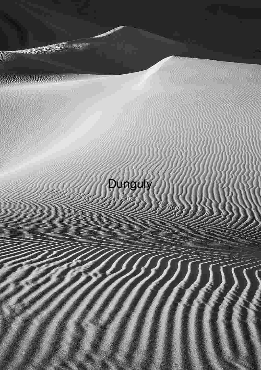 Geometry of Silence: Windlines Across the Dune