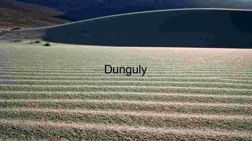 Ripple and Rise: Dune Textures in Desert Transition